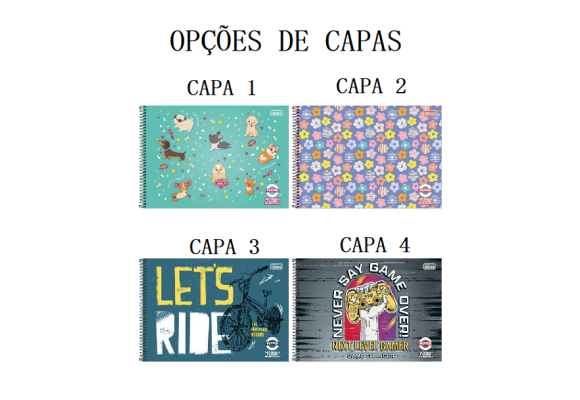 https://www.colegioparthenonbc.papelariapremium.com.br/image/cache/data/eftr/Img_ftr_rp_395601-580x400.PNG