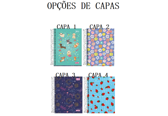 https://www.colegioparthenonbc.papelariapremium.com.br/image/cache/data/eftr/Img_ftr_rp_409101-580x400.PNG
