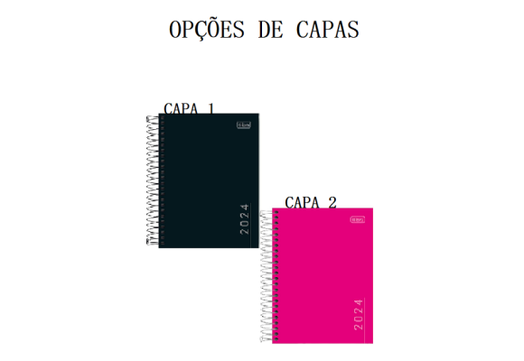 https://www.colegioparthenonbc.papelariapremium.com.br/image/cache/data/eftr/Img_ftr_rp_409301-580x400.PNG